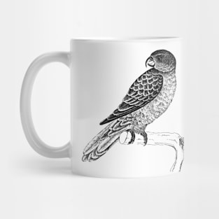 Bird Mug